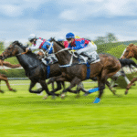 Horse Racing: How to Get Involved in the Sport