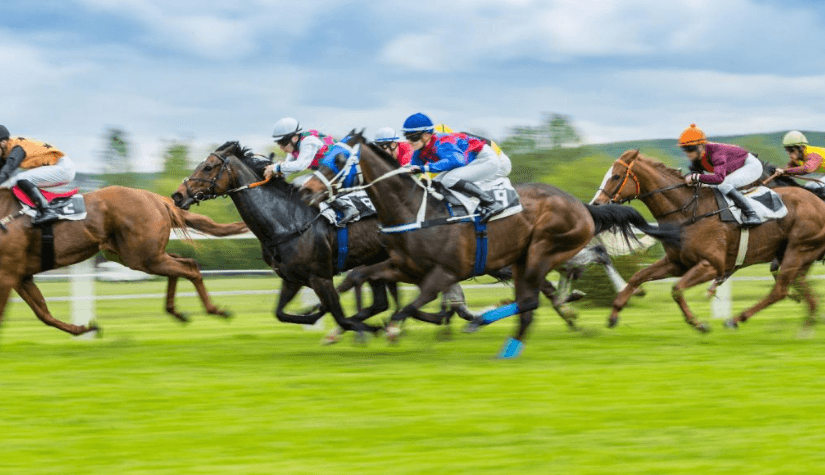 Horse Racing: How to Get Involved in the Sport