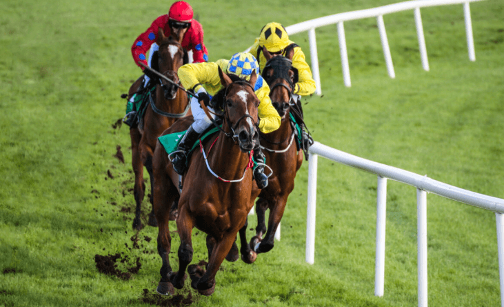 Horse Racing: How to Study Form and Find Winners