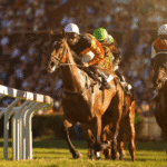 Horse Racing: How to Study the Form and Make Predictions