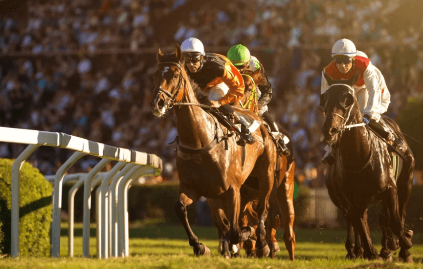 Horse Racing: How to Study the Form and Make Predictions