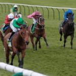 Horse Racing: How to Understand Race Results