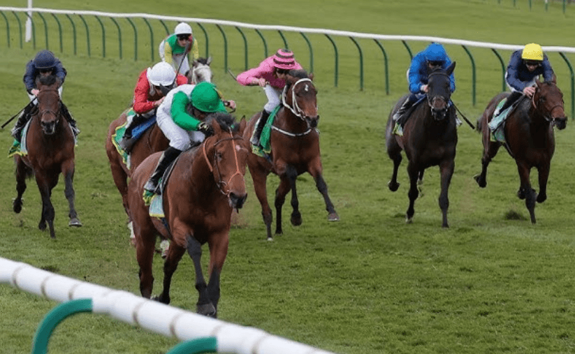 Horse Racing: How to Understand Race Results